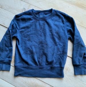 Arizona Jean Co Boys Dinosaur Long sleeve Pullover Sweatshirt Blue Size 4/5
